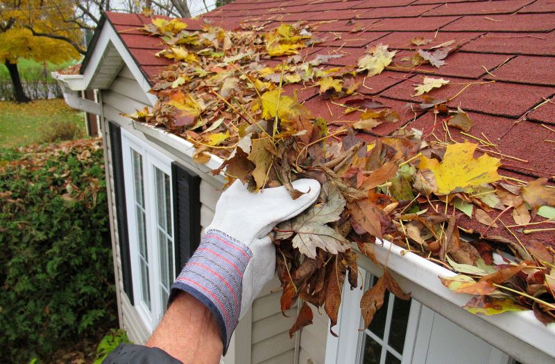 Benefits of Leaf Removal