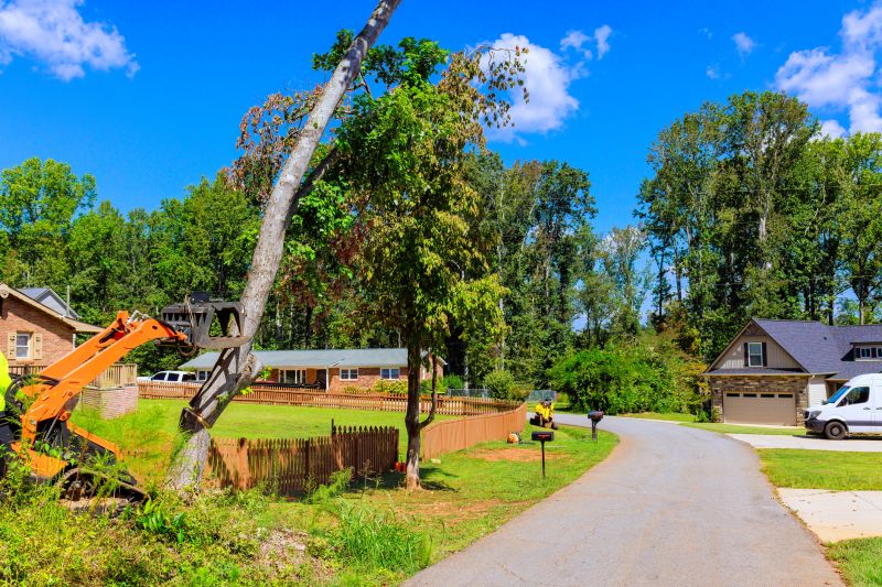 Residential Tree Clearing